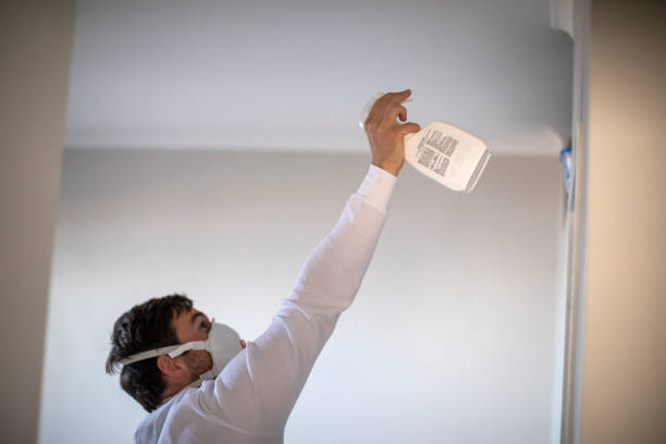 Best HVAC Mold Remediation in Hueytown, AL